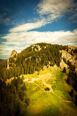 Téléchargez les photos : Automne à Buila Vanturarita National Park, Carpates, Roumanie. Couleurs d'automne vives dans la forêt. Feuilles d'automne colorées. Vert, jaune, orange, rouge. - en image libre de droit