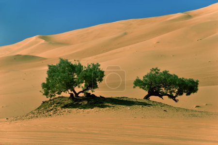 Photo for SAND DUNES AND DESERT LANDSCAPE AROUND DJANET AND TADRART REGION IN THE SAHARA DESERT IN ALGERIA - Royalty Free Image