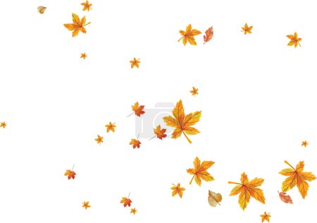 Photo for Autumn leaves falling on white background for your design photomanipulations - Royalty Free Image