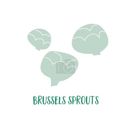 Ilustración de Ahoga a mano coles de Bruselas. Diseño plano simple. Ir dieta vegana. Verduras verdes. Comida vegetariana - Imagen libre de derechos