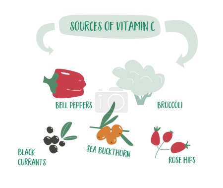 Infografía para el tema Fuente de vitamina C en un diseño de garabatos planos. Ilustración de diferentes bayas y frutas y verduras con alto contenido de vitamina C