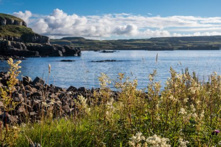 Foto de Glengorm, Isla de Mull, Hébridas Interiores, Escocia, Reino Unido - Imagen libre de derechos