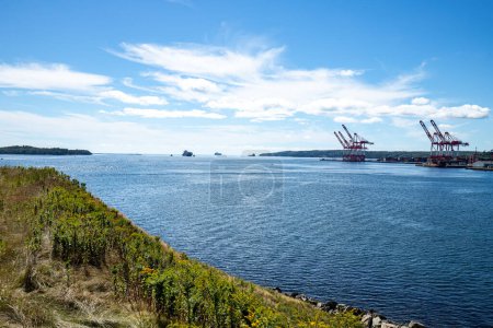 Photo for Harbour cranes and ships view from Georges Island - Halifax, Nova Scotia, Canada - Royalty Free Image