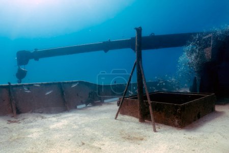 Photo for The wreck of the MV Sherice M in South Bimini, Bahamas - Royalty Free Image