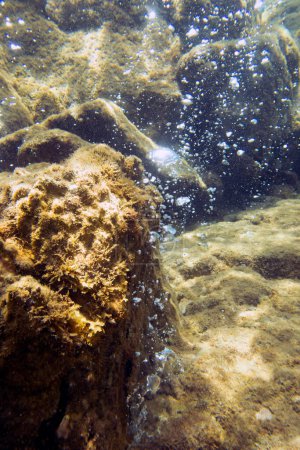 Burbujas escapando de las rocas en Champagne Reef cerca de Roseau, Dominica