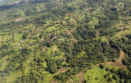Una vista aérea de la espesa vegetación en una zona rural de Dominica