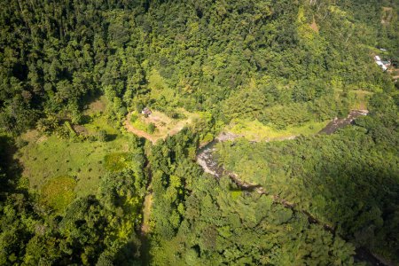 Luftaufnahme der dichten Vegetation in einer ländlichen Gegend Dominicas