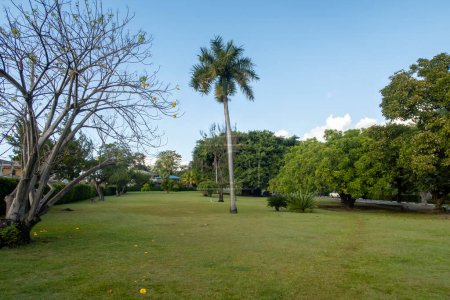 Téléchargez les photos : Jardins botaniques de la Dominique à Roseau, Dominique - en image libre de droit