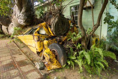 Un vieux bus scolaire écrasé par un arbre tombé dans les jardins botaniques de Roseau, Dominique