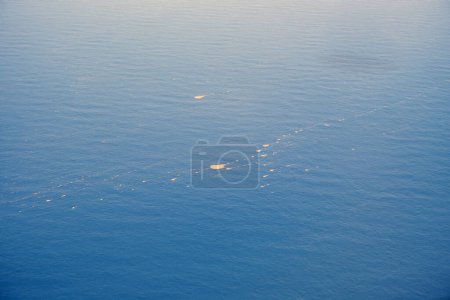 Eine Luftaufnahme von Sargassum-Flecken auf der Oberfläche des Karibischen Meeres in der Nähe von Dominica