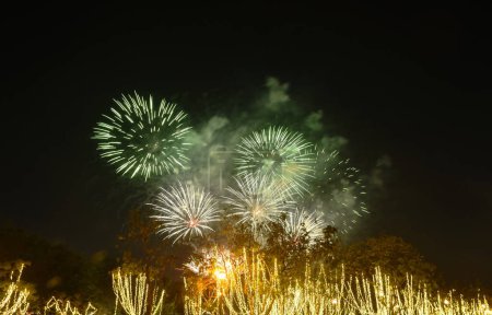Foto de Fuegos artificiales explosivos en el cielo oscuro en la noche - Imagen libre de derechos