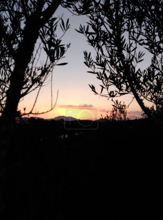 Téléchargez les photos : Ein Sonnenuntergang mit Naturhintergrund - en image libre de droit