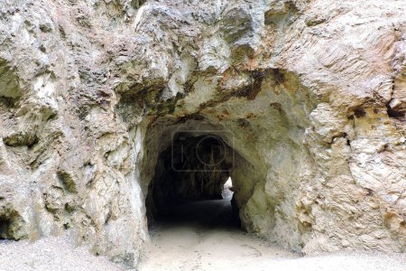 Téléchargez les photos : A tunnel cut into the mountain - en image libre de droit