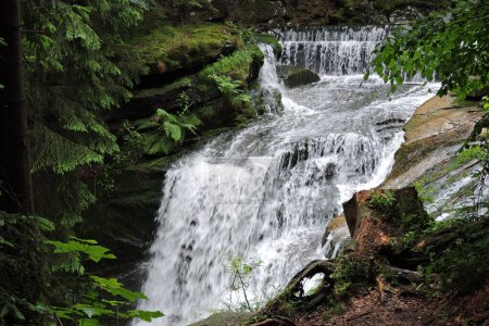 An upper part of the Szklarka Waterfall, the waterfall in the Polish part of The Karkonosze Mountains falling from a rocky wall in the forest