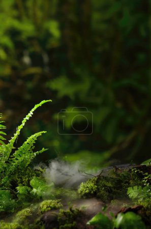Photo for Nature background pedestal brand product exhibition, hi res photo - Royalty Free Image