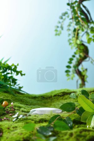 Téléchargez les photos : Fond naturel de fleurs, de pierres et d'eau pour exposer des produits - en image libre de droit