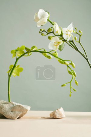 Photo for Natural background of flowers, stones and water to display products - Royalty Free Image
