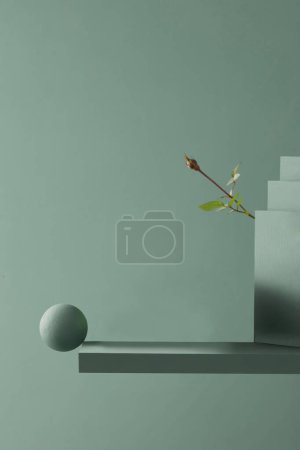 Natural background of flowers, stones and water to display products 