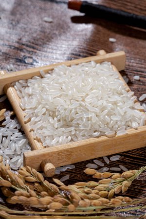 Téléchargez les photos : Riz asiatique, le riz du Vietnam est le meilleur riz d'Asie, hi res photo - en image libre de droit