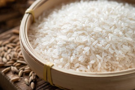 Foto de Arroz asiático, arroz de Vietnam es el mejor arroz de Asia, hi res photo - Imagen libre de derechos