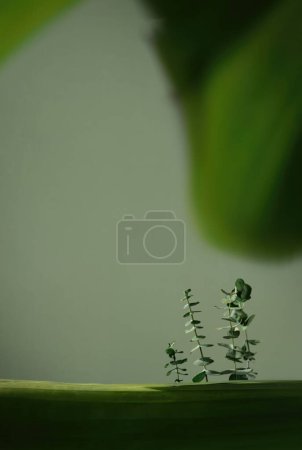 Photo for Simple backgrounds for products showcase, hi res images - Royalty Free Image