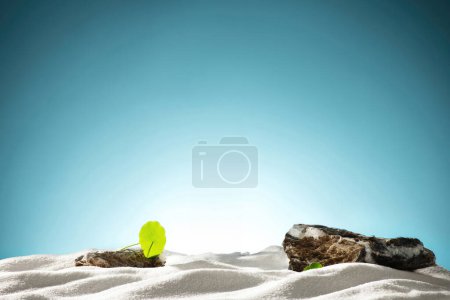 Photo for Water surfaces, oceans, seas and snowy mountains display water products - Royalty Free Image