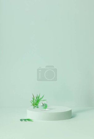 Photo for Professional product display backgrounds, Clean product photography background, High-quality product photo backgrounds - Royalty Free Image