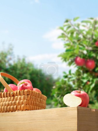 Photo for Product exhibit backgrounds, Product shoot background, Product display backdrops, Product promotion backgrounds, Fruit wallpaper for product display - Royalty Free Image