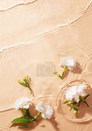 Photo for Product backdrop designs, Product showcase backdrop, Product photography setup backgrounds, High-quality product display backdrops - Royalty Free Image
