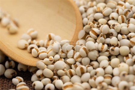 Photo for Images of Coix seeds, dietary grains, vegetarian foods, high quality photos - Royalty Free Image
