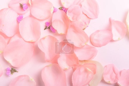 Photo for Rose wallpaper for product display, displaying products on roses, pink background - Royalty Free Image