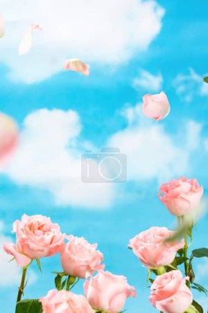 Téléchargez les photos : Fond d'écran rose pour l'affichage des produits, l'affichage des produits sur les roses, fond rose - en image libre de droit