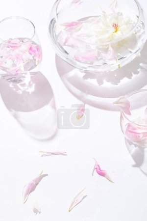 Téléchargez les photos : Fond d'écran rose pour l'affichage des produits, l'affichage des produits sur les roses, fond rose - en image libre de droit