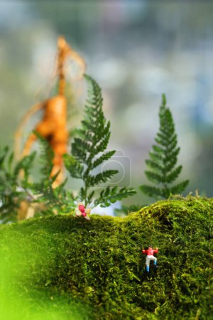 Photo for Natural wallpaper for displaying natural products, product backdrop, high quality images - Royalty Free Image