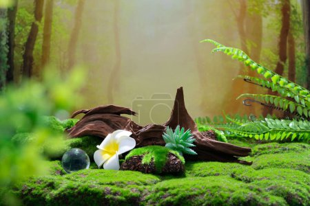 Photo for Natural wallpaper for displaying natural products, product backdrop, high quality images - Royalty Free Image