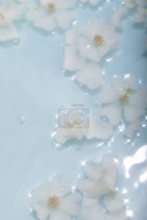 Photo for Beautiful images of flowers on water, flowers and water wallpapers, high quality images - Royalty Free Image