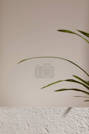 Photo for Photo backdrop for merchandise, product image backdrops, product photography backgrounds, professional product display backgrounds - Royalty Free Image