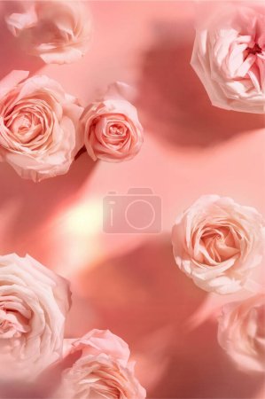 Photo for Rose wallpaper for product display, rose background, high quality images - Royalty Free Image