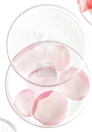 Foto de Fondo de pantalla rosa para la exhibición del producto, fondo rosa, imágenes de alta calidad - Imagen libre de derechos