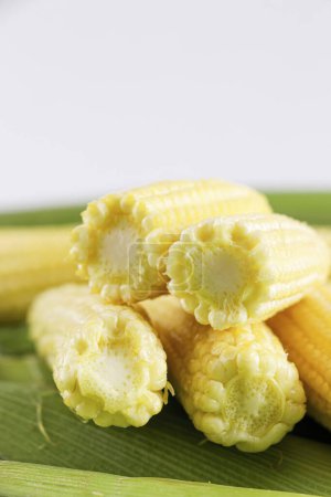 Photo for Images of baby corn, corn cobs, high quality images of corn - Royalty Free Image