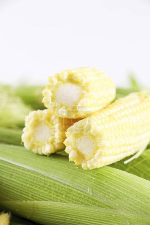 Téléchargez les photos : Images de maïs bébé, épis de maïs, images de haute qualité de maïs - en image libre de droit