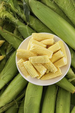 Foto de Imágenes de maíz bebé, mazorcas de maíz, imágenes de alta calidad de maíz - Imagen libre de derechos