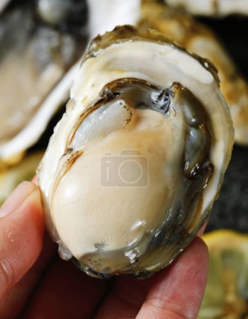 Téléchargez les photos : Images claires d'huîtres, huîtres grillées, images de haute qualité pour l'impression - en image libre de droit