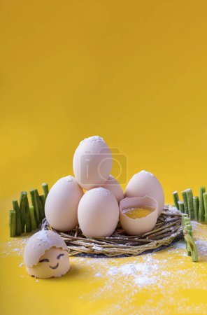 Photo for Adorable eggs, funny eggs, taken in studio, high quality images - Royalty Free Image