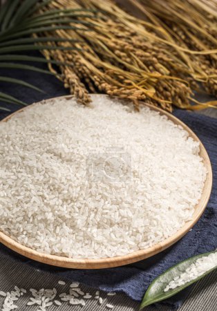 Téléchargez les photos : Images de riz asiatique, riz vietnamien, photos de haute qualité - en image libre de droit