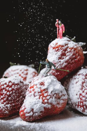 Téléchargez les photos : Nouvelles images de fraises, fraises vintage, images de haute qualité - en image libre de droit