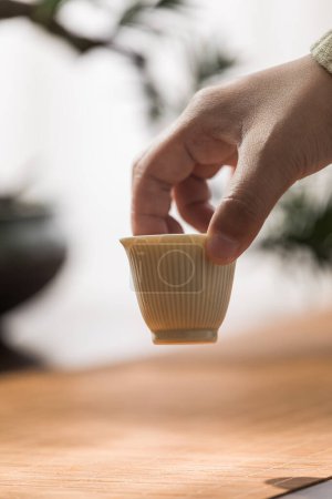 Imagen de juego de té, persona haciendo té de estilo asiático, taza de té y tetera