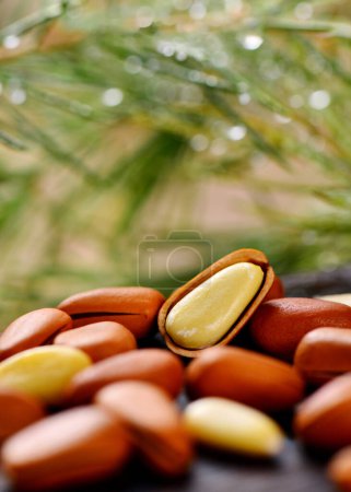 Photo for Beautiful pictures of pine nuts, photos of pine nuts, delicious pine nuts, high quality images - Royalty Free Image