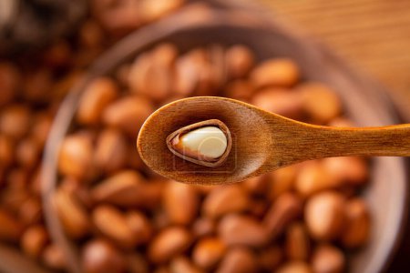 Photo for Beautiful pictures of pine nuts, photos of pine nuts, delicious pine nuts, high quality images - Royalty Free Image