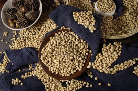 Photo for Beautiful images of soybeans, images of soybeans, high quality images - Royalty Free Image